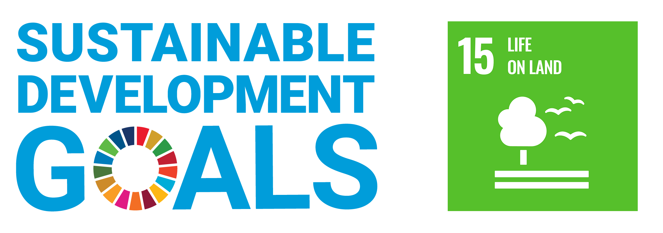 Sustainable Development Goals（持続可能な開発目標）