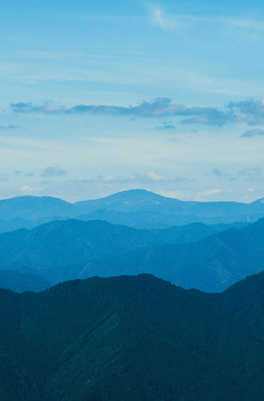 山　森　ひのき