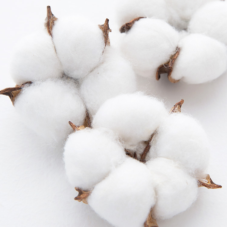 オーガニックフラットシーツ SS-S 寝具 シーツ ボックスシーツ シンプル オーガニックコットン