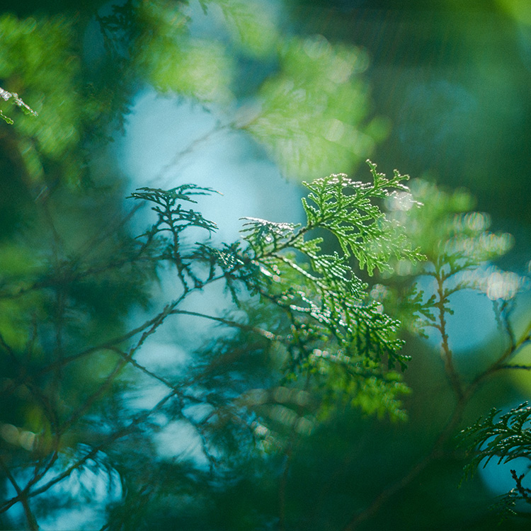 洗えるゆったりオットマン S1.4 帆布 ひのき ソファ シンプル 木製