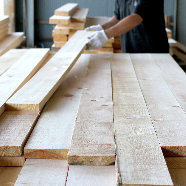 サクラノチェア ダイニングチェア 椅子 リビング オーガニック シンプル さくら 木製