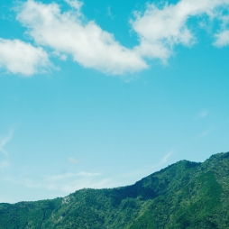 No Trees, No Moutain（山の日フェア）