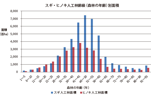 樹齢　グラフ